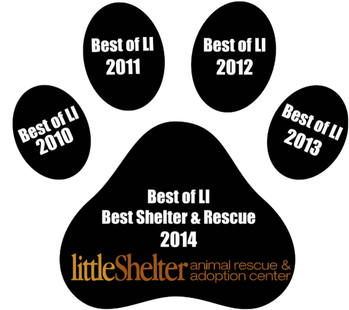 1260 - Istock (800x745), Png Download