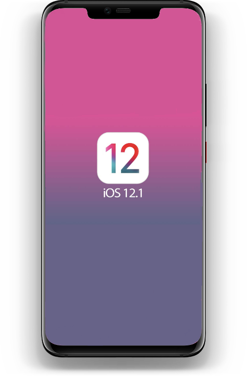 1 Latest Update Supports Dual-sim, Group Facetime, - Iphone (500x762), Png Download