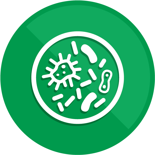 Polyurethane (750x750), Png Download