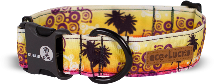 Seaside - Doublin Dog Collars Seaside (800x612), Png Download