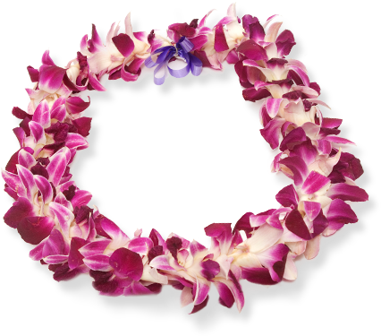 Flowers Collar - Wreath (426x375), Png Download