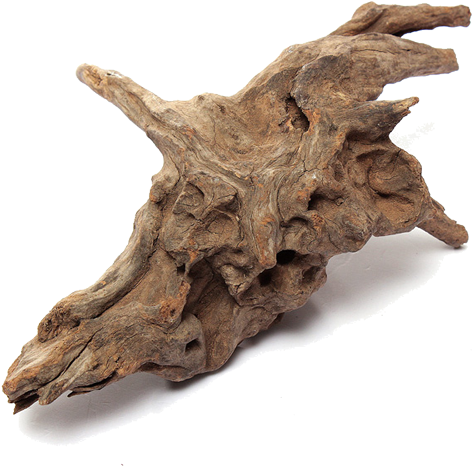 Shape Minifiss Bonsai Driftwood - Automatic Fish Feeder Aquarium Driftwood Root Log Stump (500x500), Png Download