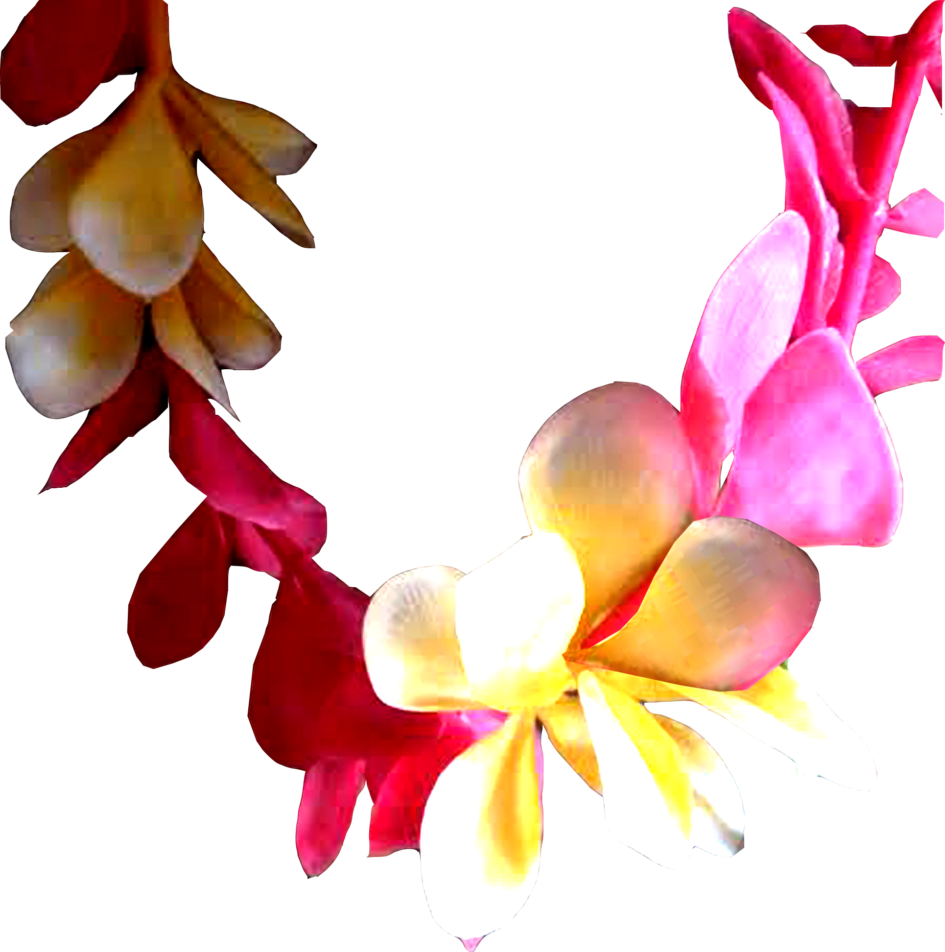 Piece Of Lei 2 - Aloha (1930x1944), Png Download