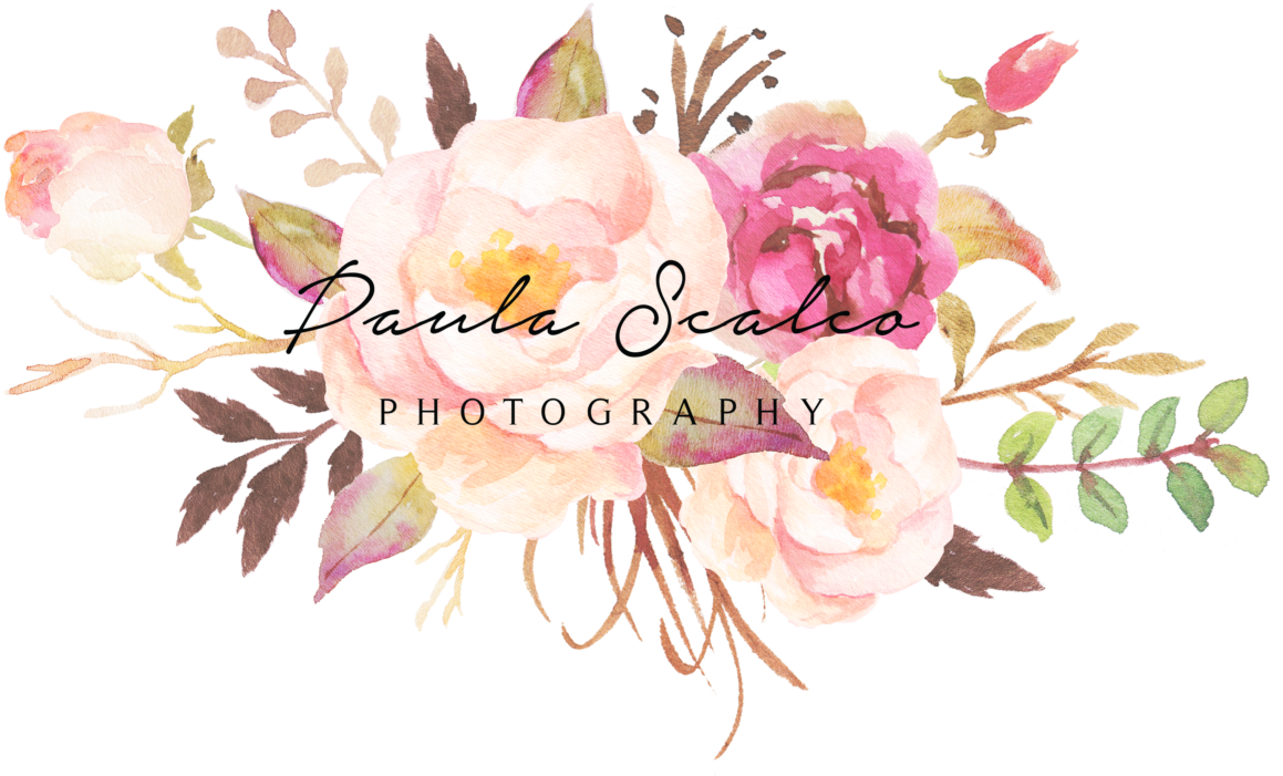 Wedding Photographer - Burgundy Watercolor Flowers Png (1200x775), Png Download