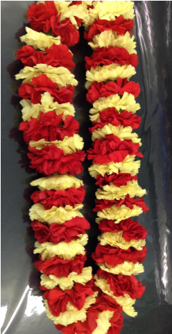 Fremont Flowers, 4050 Alder Avenue, Fremont, Ca, 94536 - Fremont (480x480), Png Download