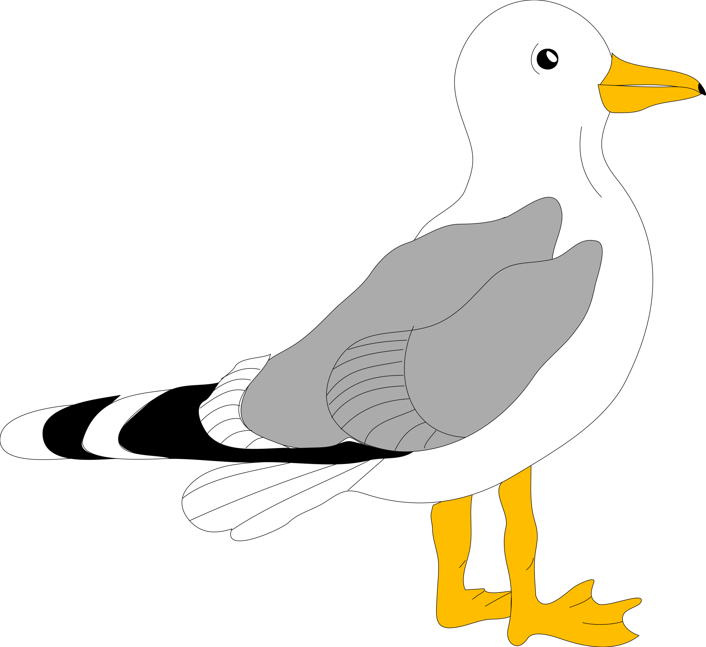 Bird Vector - Seagull Clipart (600x551), Png Download