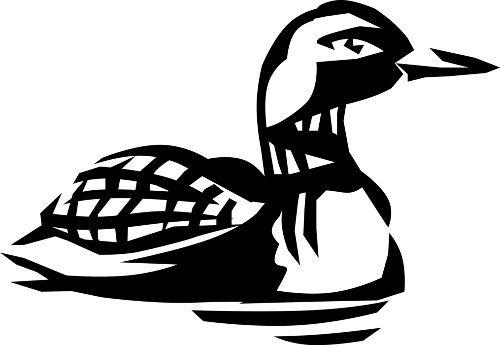 Vector Illustration Of North American Aquatic Diving - Loon Vector (1015x700), Png Download