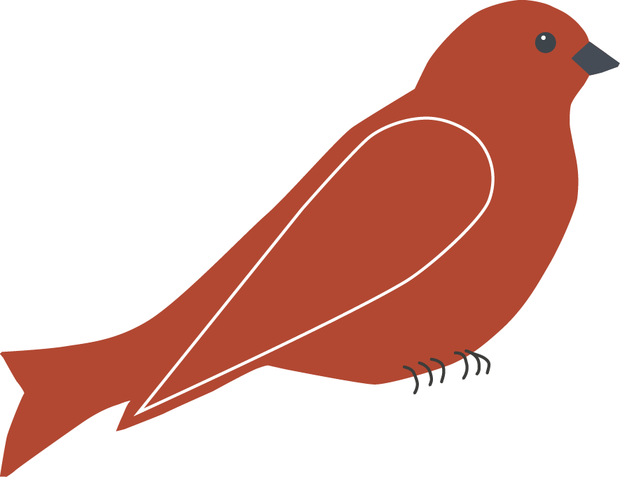 Red Bird Vector Thin White - Bird Red (885x681), Png Download