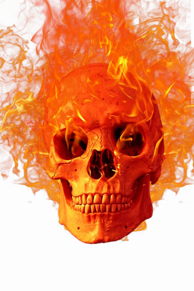 Halloween Skull Vector Free Png Photo - Skull On Fire Png (650x976), Png Download