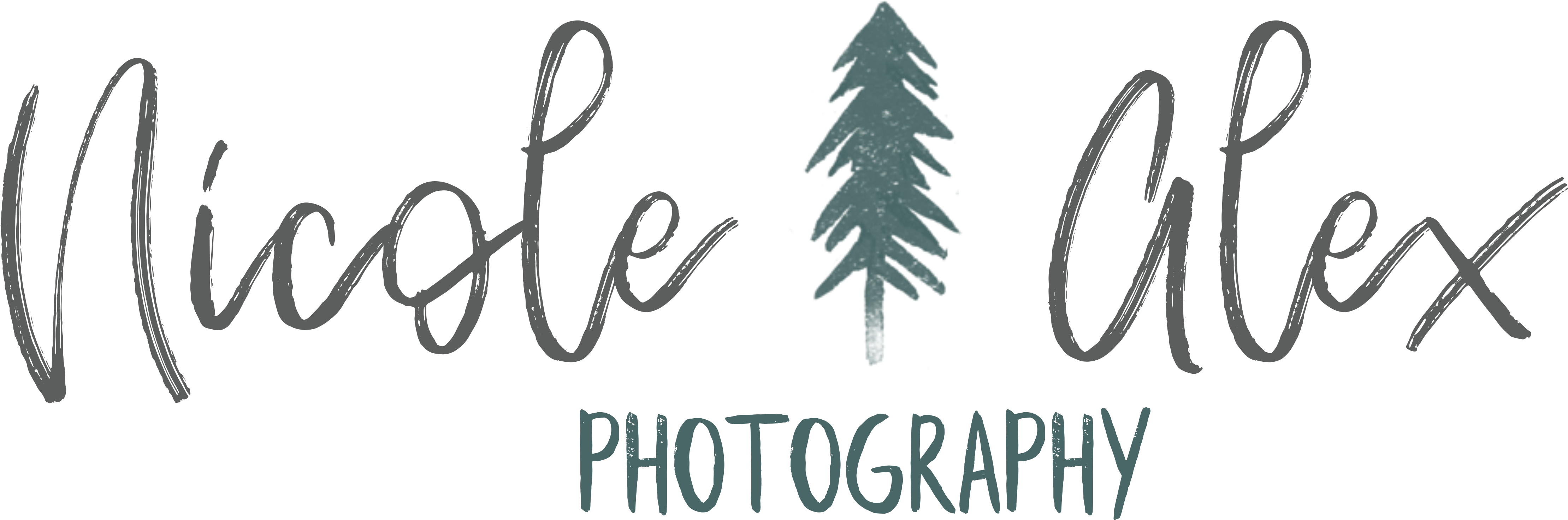Nicole Alex Photography (4993x2064), Png Download