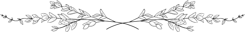 Flowers 1 - Portable Network Graphics (833x271), Png Download