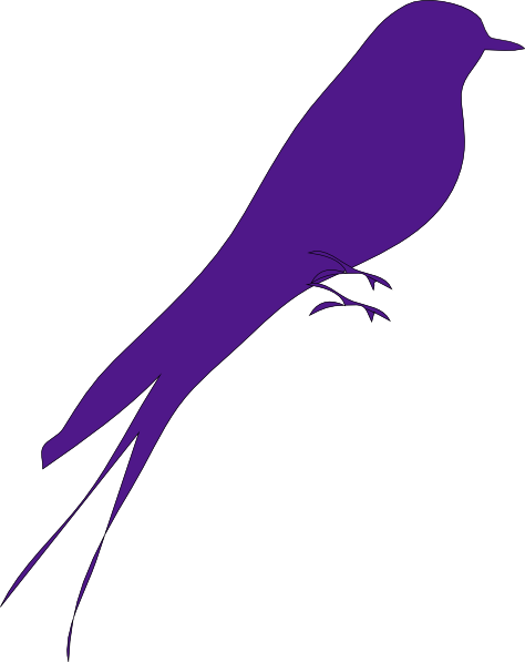 Big Bird Clip Art - Purple Bird Transparent (474x597), Png Download