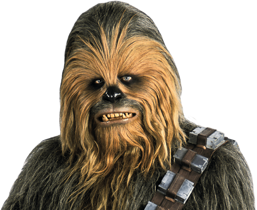 Chewbacca Png (940x700), Png Download