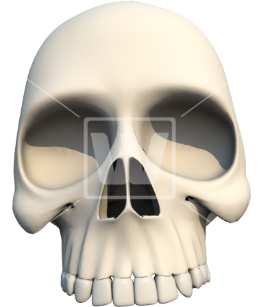 Human Skull Png Front - Royalty-free (377x550), Png Download