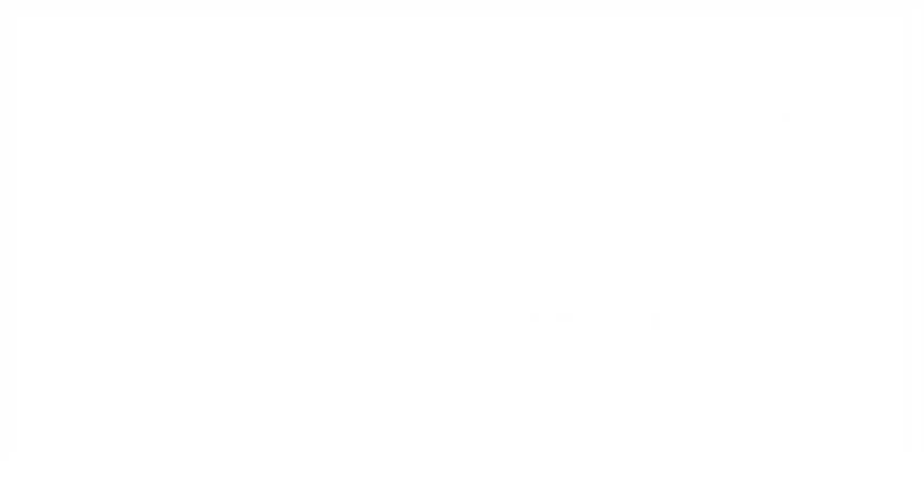 Conscious Closet Tm White - Calligraphy (1000x490), Png Download