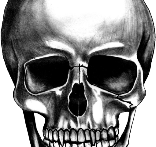 Skeleton Head Clipart Transparent - Transparent Background Skull Clipart (640x480), Png Download