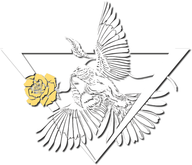 Texas Mockingbird Symbol - Human (700x556), Png Download