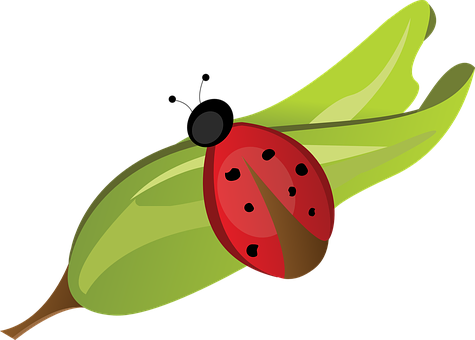 Ladybug Leaf Red Bug Dots Nature Green Sit - Joaninha Na Folha Png (475x340), Png Download