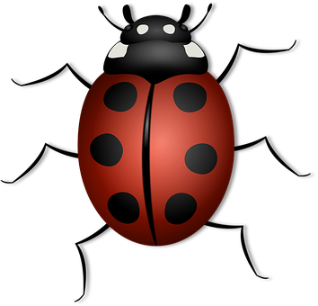 Ladybug Animal Beetle Bug Insect Luck Summ - 6 Legged Animal Clipart (354x340), Png Download