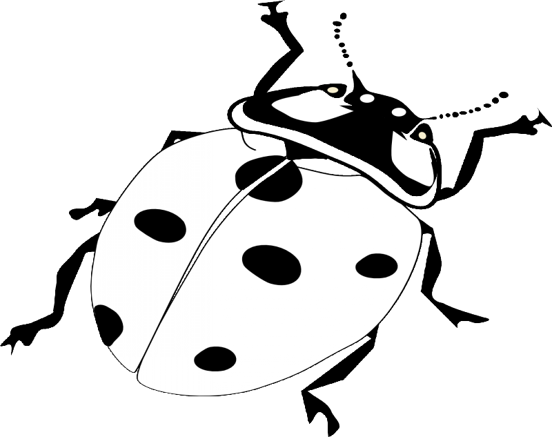 Plain Black And White Ladybug Crawling Up Tattoo Design - Ladybird Black And White (800x633), Png Download
