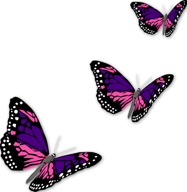 Butterflies Clipart - Butterfly (600x613), Png Download