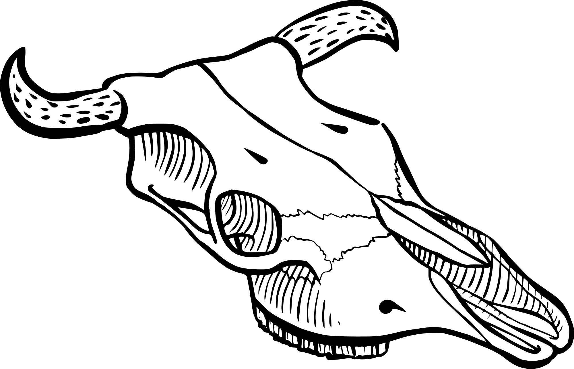 Open - Wikimedia Commons (2000x1288), Png Download