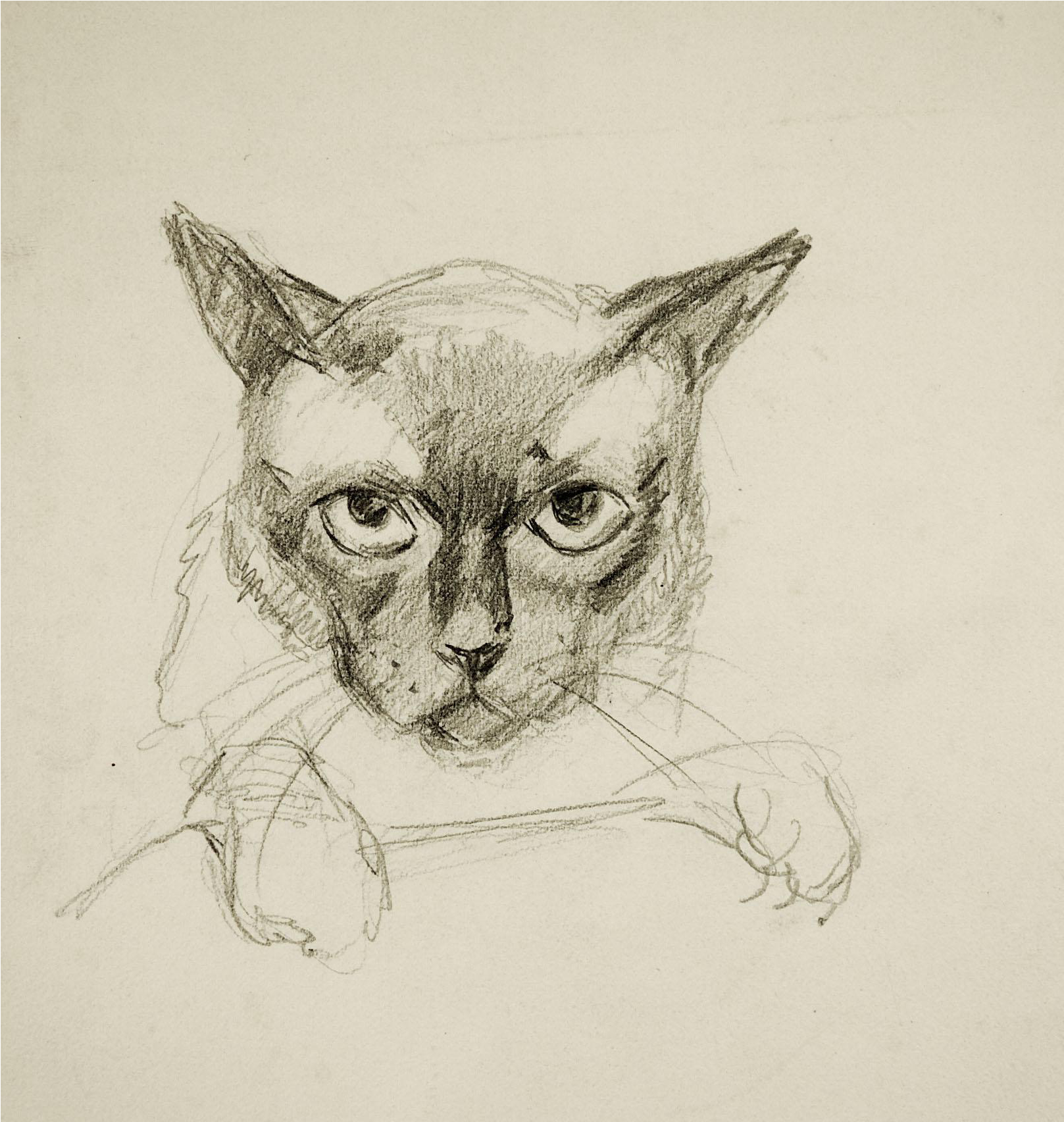 George Baer Pencil Study Of Cat Drawing - Drawing (1796x1893), Png Download