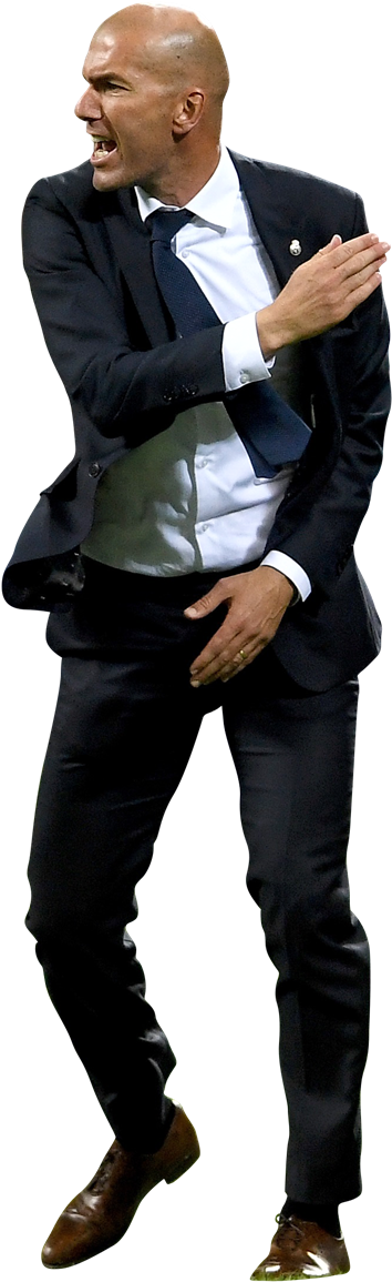 Zinedine Zidane Fan De Fan De Zizou Zinedine Zidane - Zinedine Zidane (392x1200), Png Download