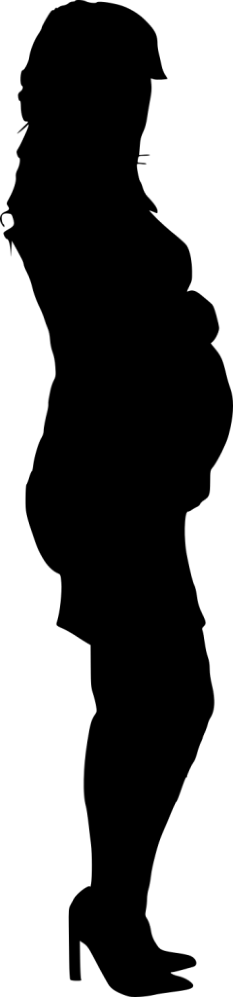 Free Png Pregnant Woman Silhouette Png Images Transparent - Pregnant Woman Silhouette Transparent (480x2048), Png Download