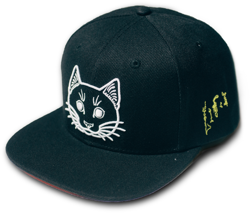 Wide Eye Cat Snapback - Cat (1000x800), Png Download