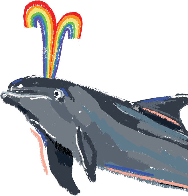 Image Of A Dolphin - Dolphin (656x708), Png Download