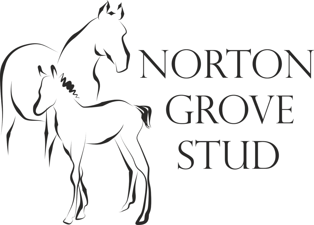 1100 × 789 In Norton Grove Stud Logo - Foal (1100x789), Png Download
