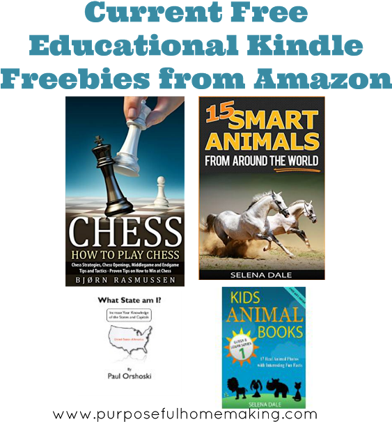 Today's Free Educational Kindle Books Or Amazon Prime - Rikki Knight Fantasy White Horses Design Black Leather (640x640), Png Download