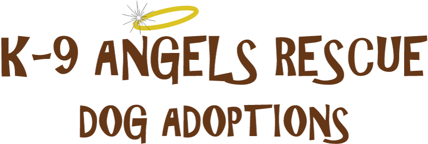 Scrappy Cupcake Angels - Hardcover (1037x346), Png Download