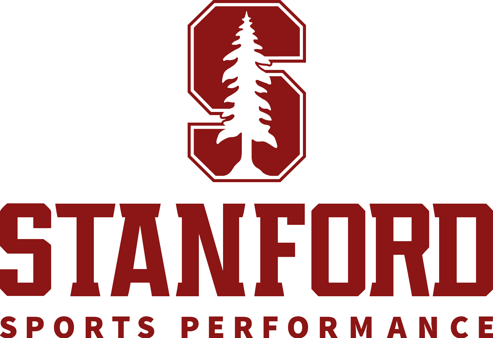 Instagram - Stanford Baby T Shirt (1629x1117), Png Download