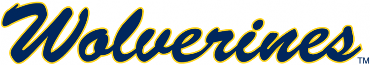 Michigan Wolverines Iron Ons - Michigan Wolverines Wordmark (750x930), Png Download