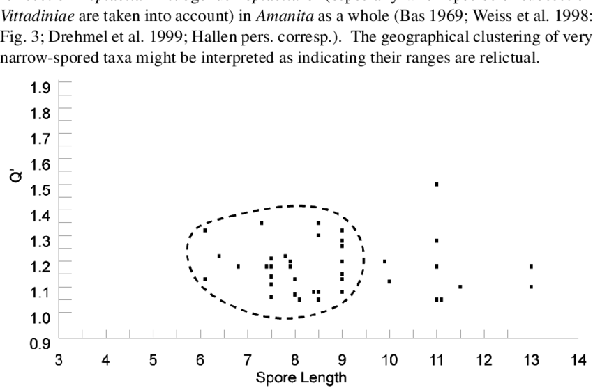 A Scatter Plot Of Spore Length Versus Q' For The Spores - Circle (850x560), Png Download