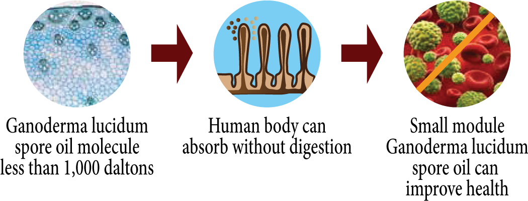 Through The Ultrafiltration Technique And Co2 Supercritical - Strawberry (1093x413), Png Download