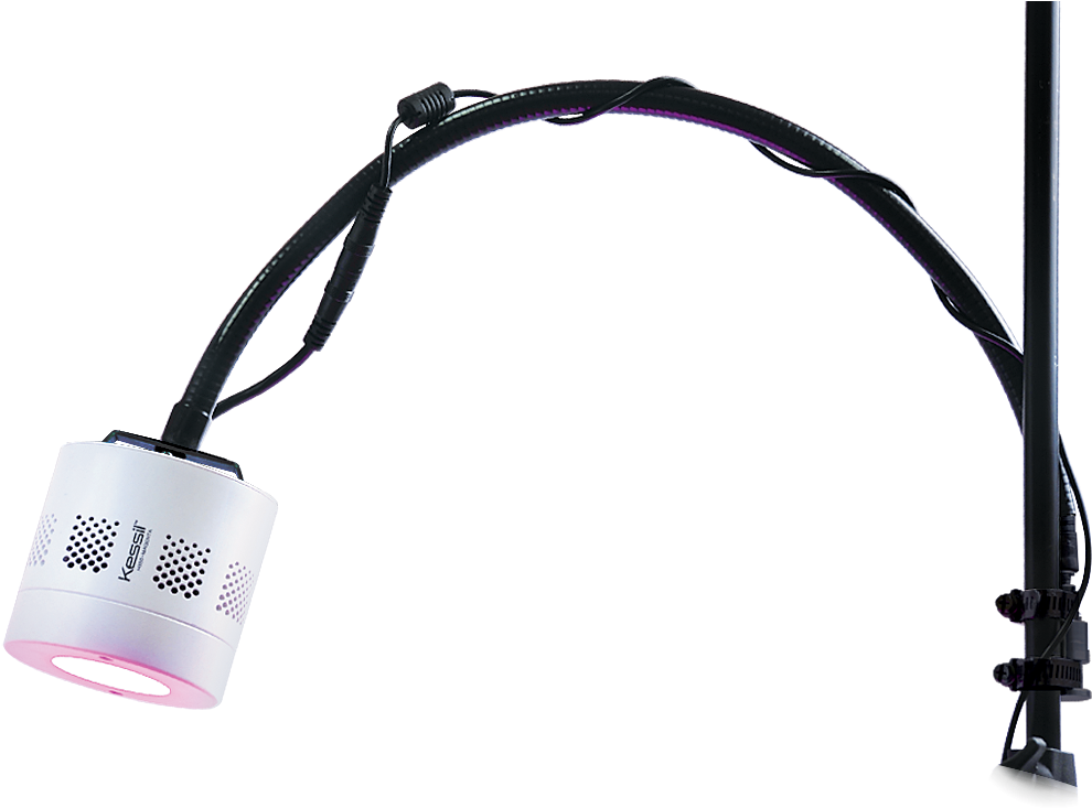 Kessil H350/deep Purple - Kessil Gooseneck Ebay (1125x900), Png Download