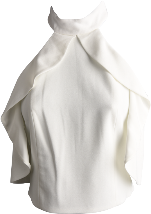 Alice And Olivia Ruffle Cropped Top, $225, Saks Fifth - Blouse (683x1024), Png Download