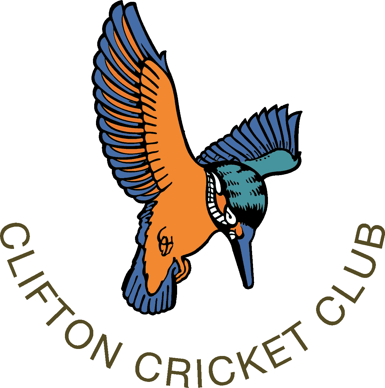 Copyright © 2019 Clifton Cricket Club - Clifton Cricket Club (1263x1272), Png Download