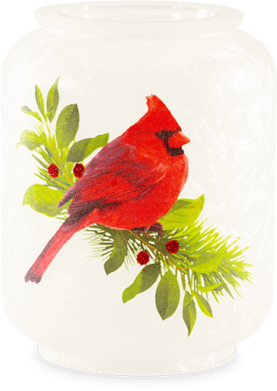 Christmas Cardinal Scentsy Warmer (600x600), Png Download