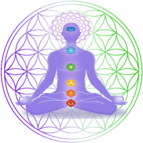 Exhibitors At Fitcon Fitcon Norwex Improving Quality - My Green Horizen Cbd (728x485), Png Download