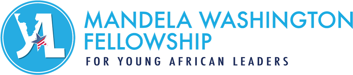 Mandela Washington Fellowship (1200x263), Png Download