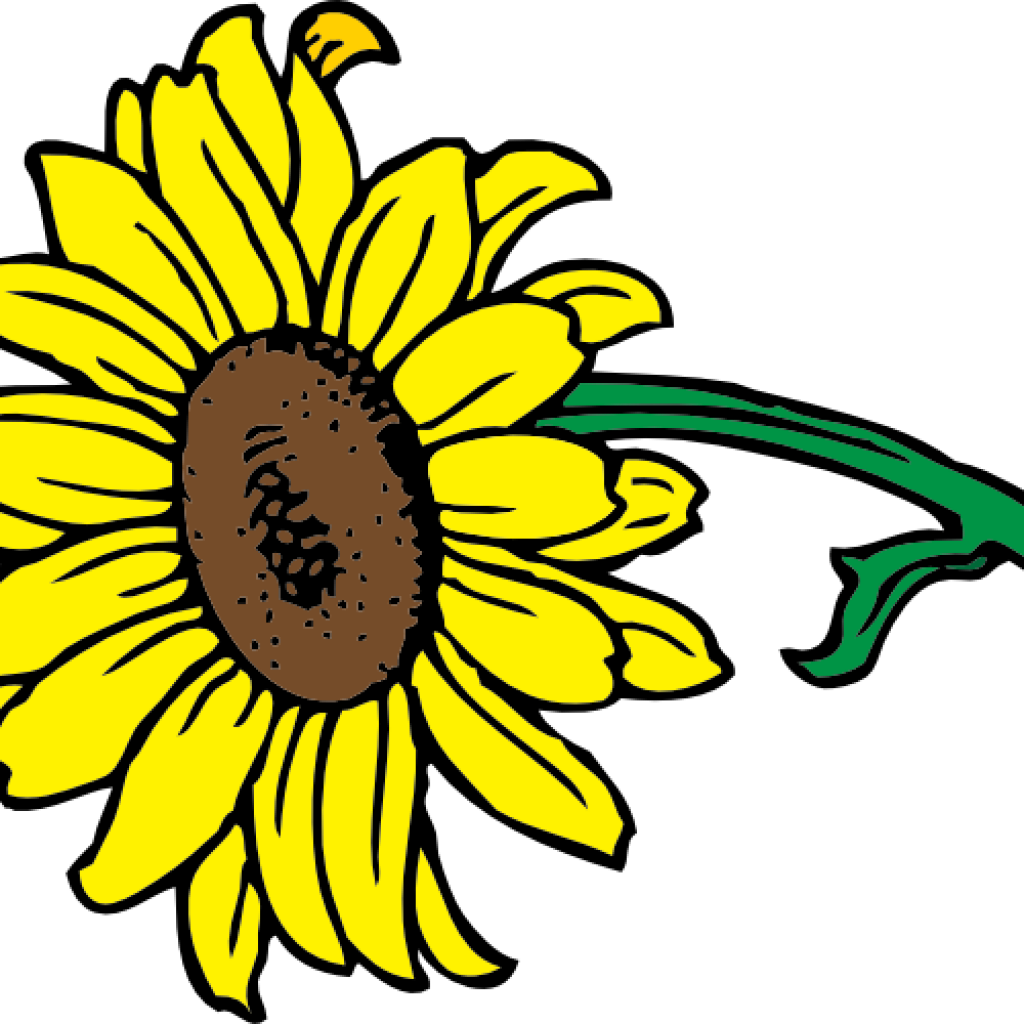 Sunflower Clipart Free Sunflower Clipart At Getdrawings - Helle Sonnenblume Mit Blätter Kissen (1024x1024), Png Download