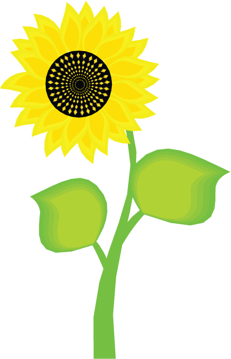 Sunflower Clipart Bunga Matahari - Short Sunflower Plant Cartoon (484x749), Png Download