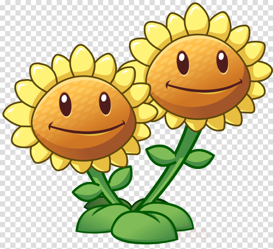 Pvz 2 Twin Sunflower Clipart Plants Vs - Plants Vs Zombies Girassol (900x820), Png Download