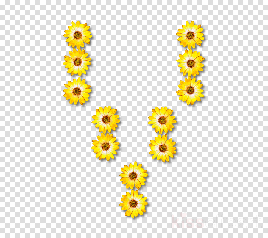 Common Sunflower Clipart Common Sunflower Sunflower - Common Sunflower (900x800), Png Download