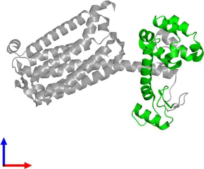 Chain (800x800), Png Download