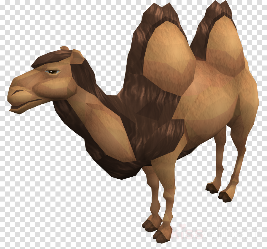 Arabian Camel Clipart Dromedary Bactrian Camel Clip - Bactrian Camel (900x840), Png Download